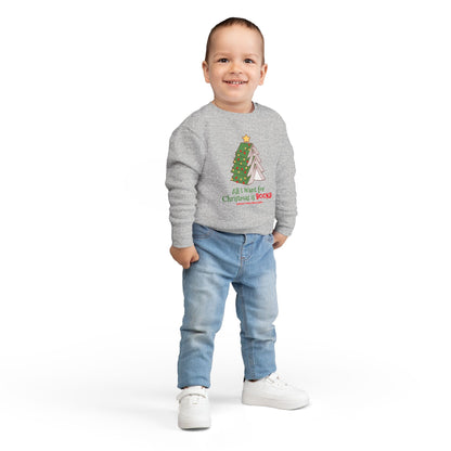 Toddler Sweatshirt: All I Want For Christmas is Books