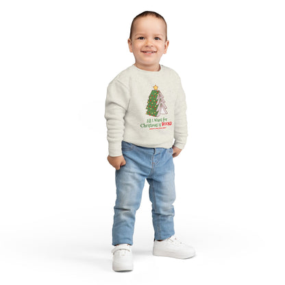 Toddler Sweatshirt: All I Want For Christmas is Books
